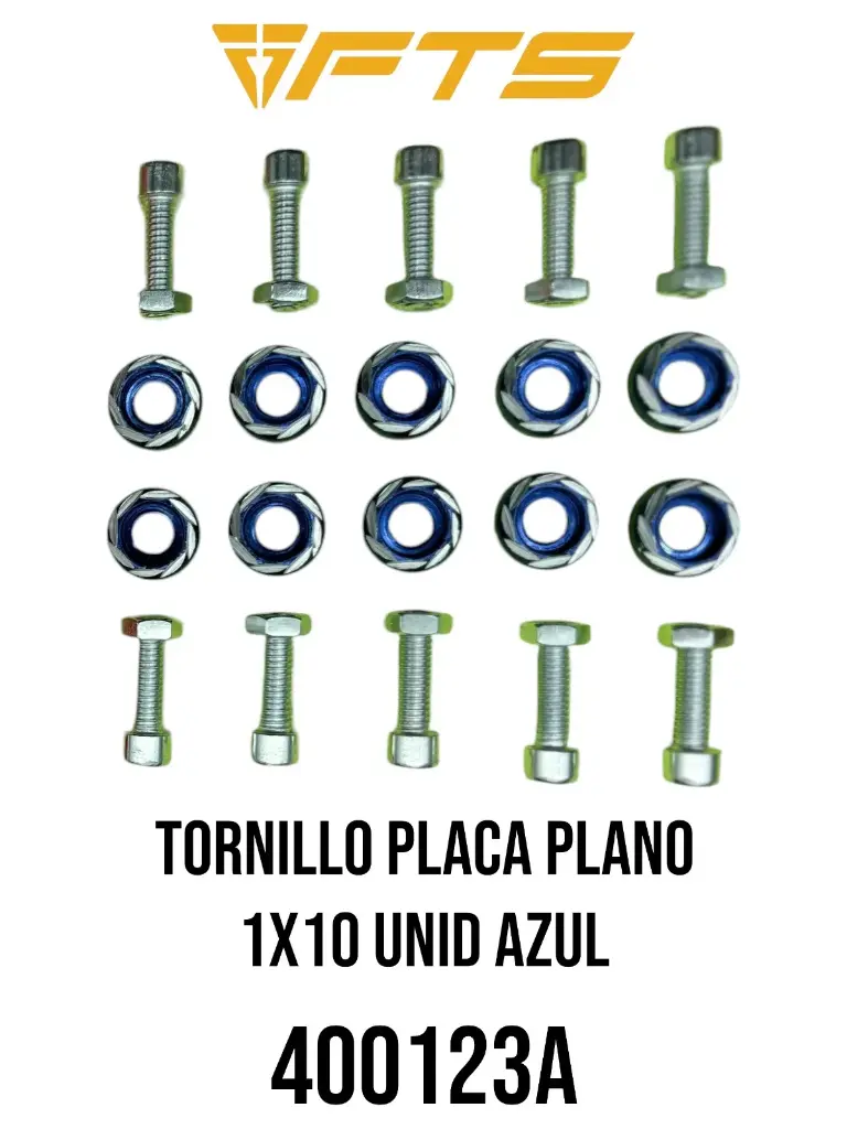 TORNILLO PLACA PLANO 1X10 UNID AZUL