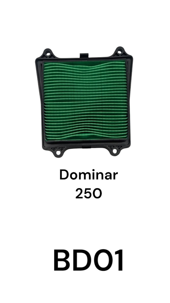 FILTRO AIRE DOMINAR 250