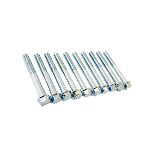 TORNILLO HIERRO 6X50 MM 1X10